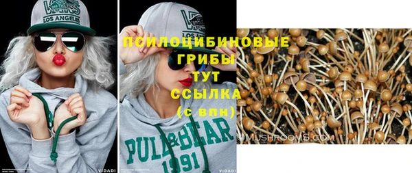 бутират Тында