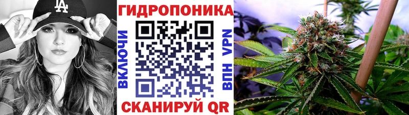 Канабис планчик  Хилок 